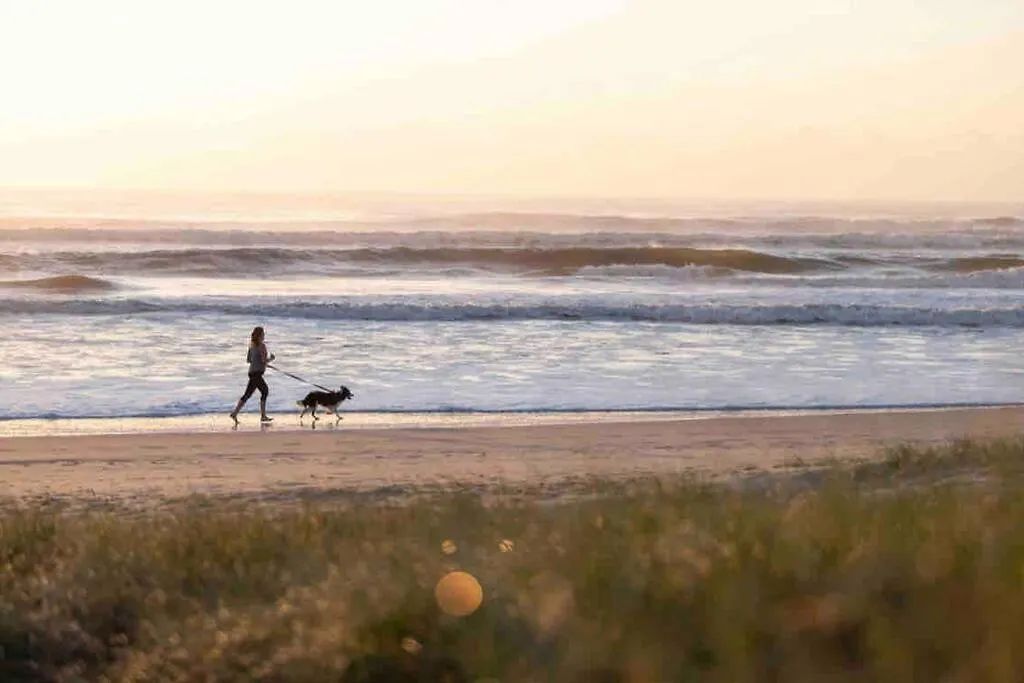 Casa Maya Villa Nobby'S Beach Gold Coast